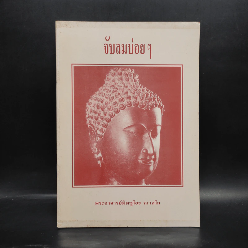 จับลมบ่อยๆ - พระอาจารย์มิตซูโอะ คเวสโก รูปที่ 1