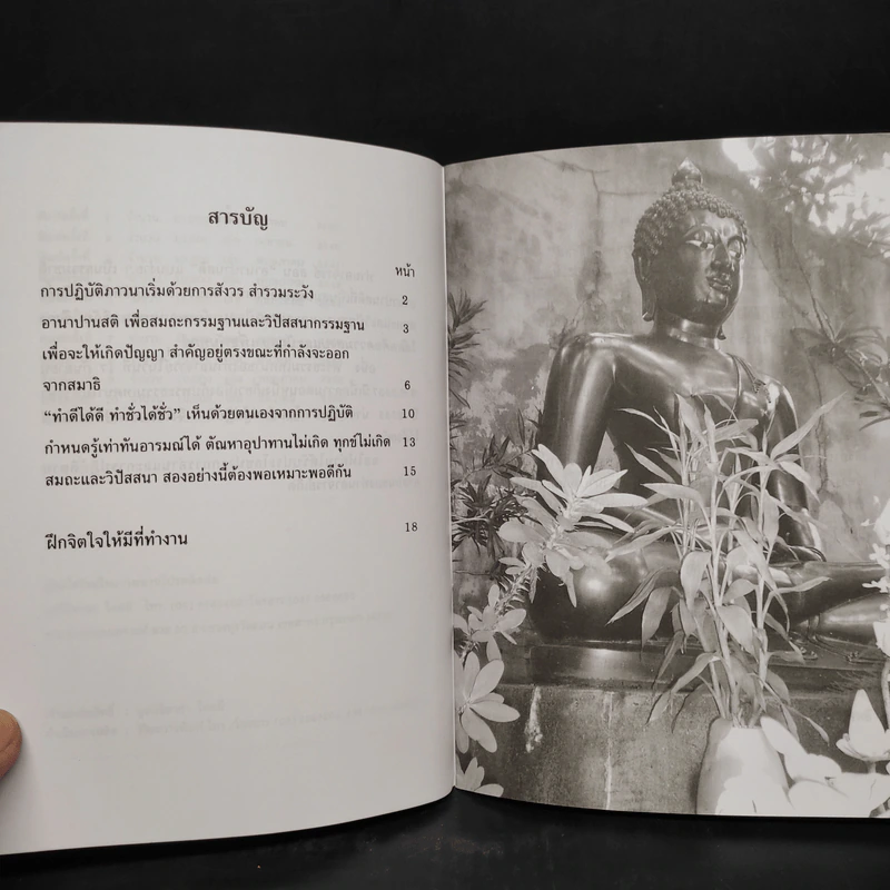 จับลมบ่อยๆ - พระอาจารย์มิตซูโอะ คเวสโก รูปที่ 6