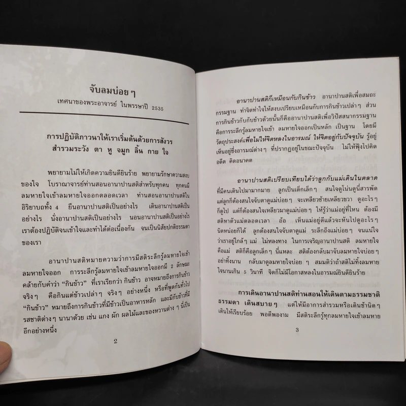 จับลมบ่อยๆ - พระอาจารย์มิตซูโอะ คเวสโก รูปที่ 7