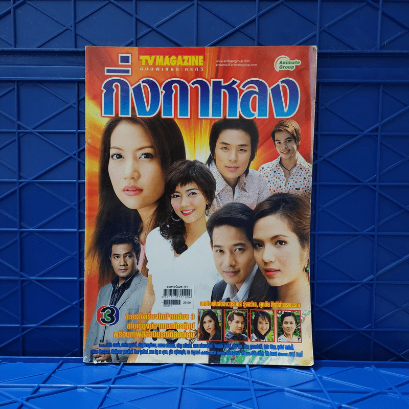 กิ่งกาหลง เรื่องย่อละคร ทีวีแม็กกาซีน รูปที่ 1