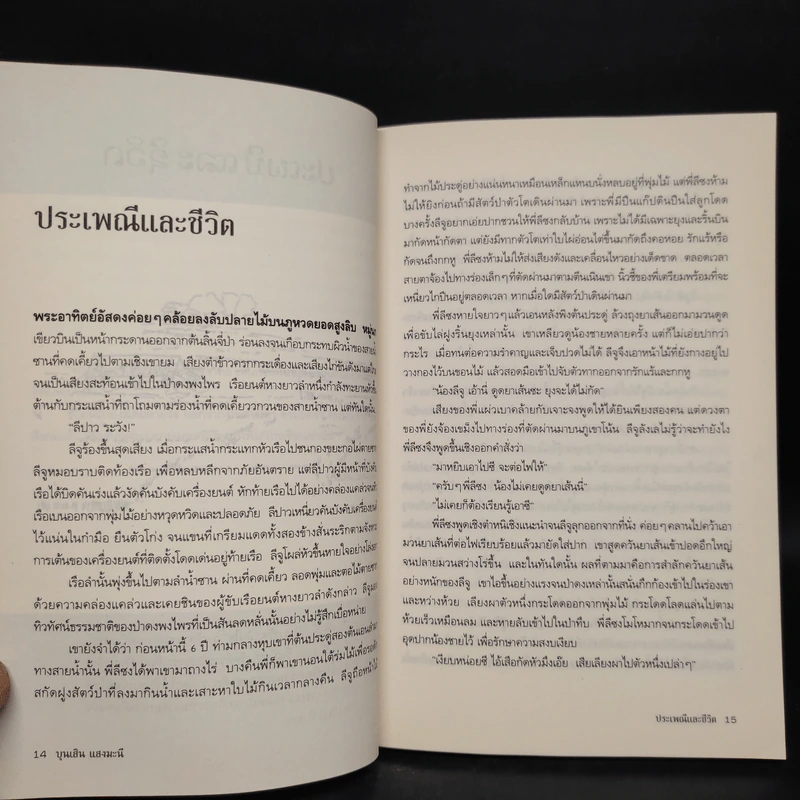 ใบไม้ใบสุดท้าย - บุนเสิน แสงมะนี รูปที่ 7