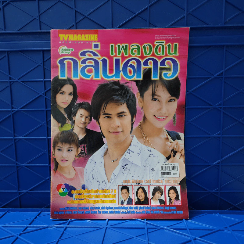 เพลงดินกลิ่นดาว เรื่องย่อละคร ทีวีแม็กกาซีน รูปที่ 1