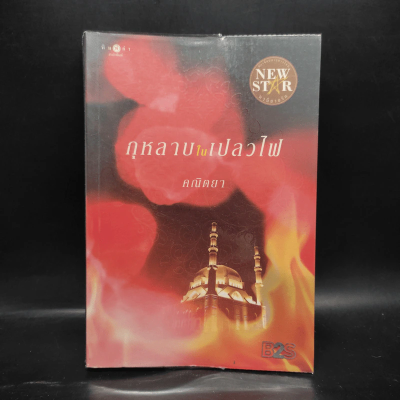 กุหลาบในเปลวไฟ - คณิตยา รูปที่ 1