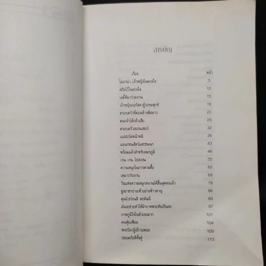 ไดอาน่าเจ้าหญิงในดวงใจ - วรรธนา วงษ์ฉัตร, ภัคพงษ์ รูปที่ 6