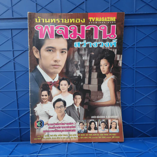 บ้านทรายทอง พจมาน สว่างวงศ์ เรื่องย่อละคร ทีวีแม็กกาซีน รูปที่ 1