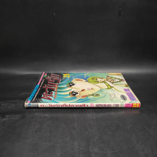 ตะวันรักที่ปลายฟ้า เล่ม 19 รูปที่ 3