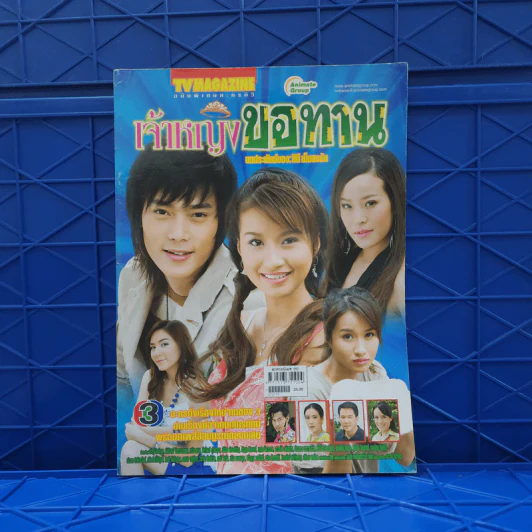 เจ้าหญิงขอทาน เรื่องย่อละคร ทีวีแม็กกาซีน รูปที่ 1