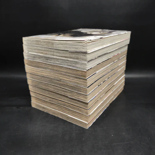 ซังกะเรอา 11 เล่มจบ รูปที่ 3