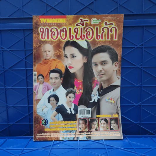 ทองเนื้อเก้า เรื่องย่อละคร ทีวีแม็กกาซีน รูปที่ 1