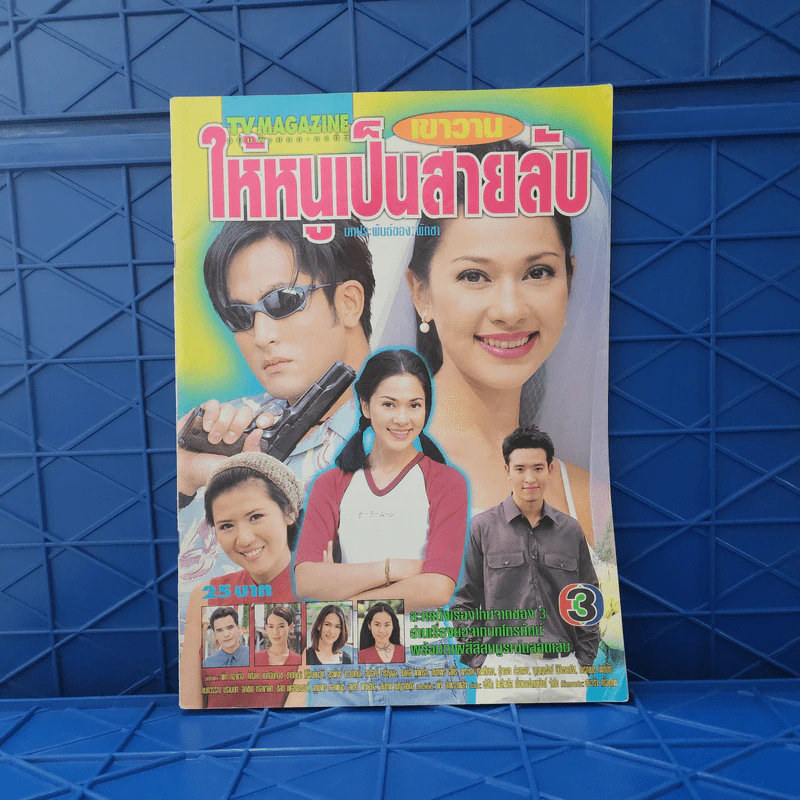 เขาวานให้หนูเป็นสายลับ เรื่องย่อละคร ทีวีแม็กกาซีน รูปที่ 1