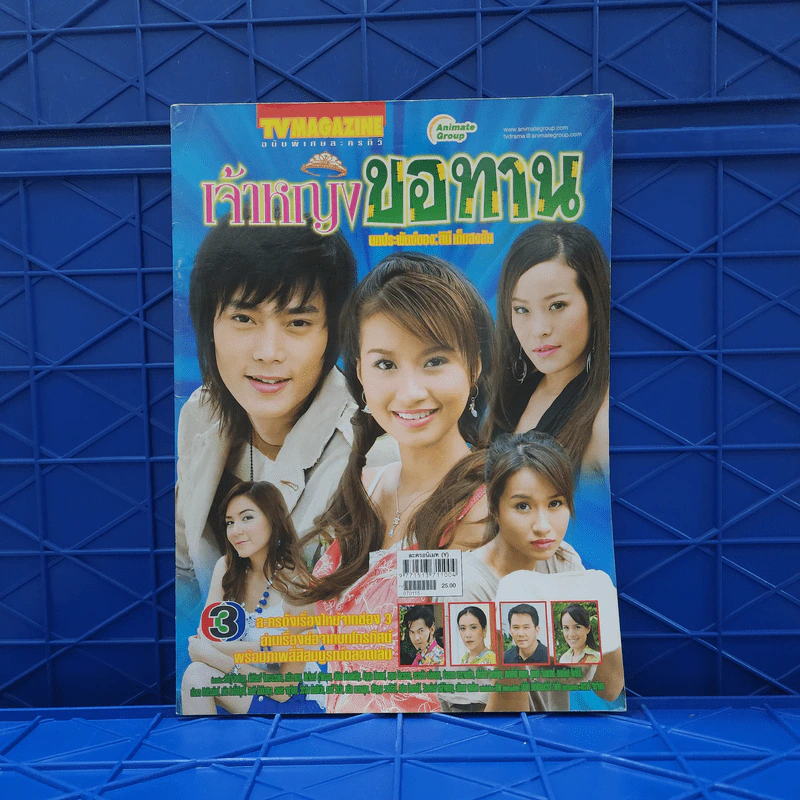 เจ้าหญิงขอทาน เรื่องย่อละคร ทีวีแม็กกาซีน รูปที่ 1