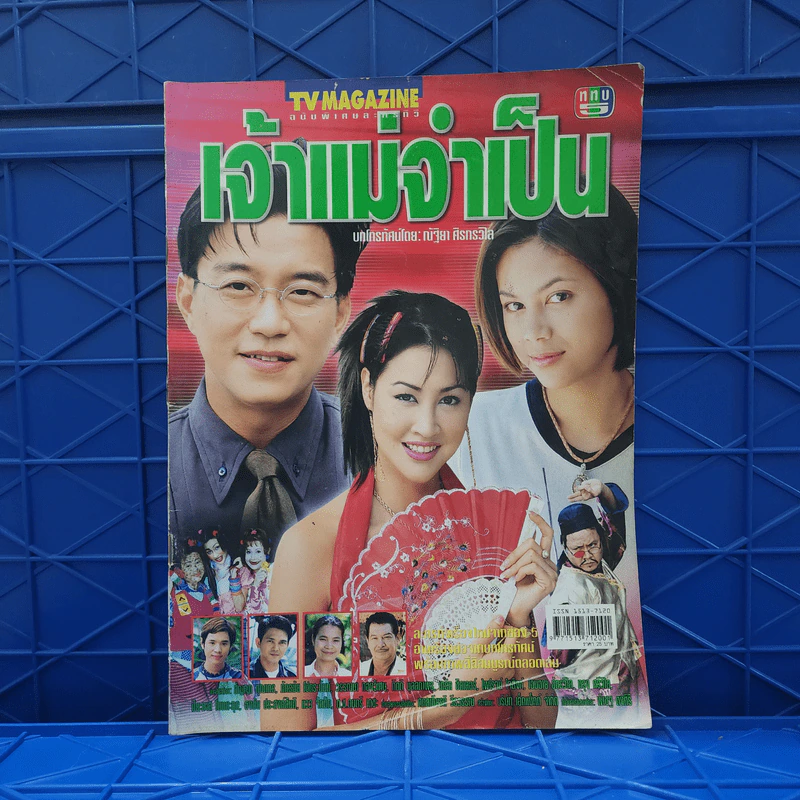 เจ้าแม่จำเป็น เรื่องย่อละคร ทีวีแม็กกาซีน รูปที่ 1