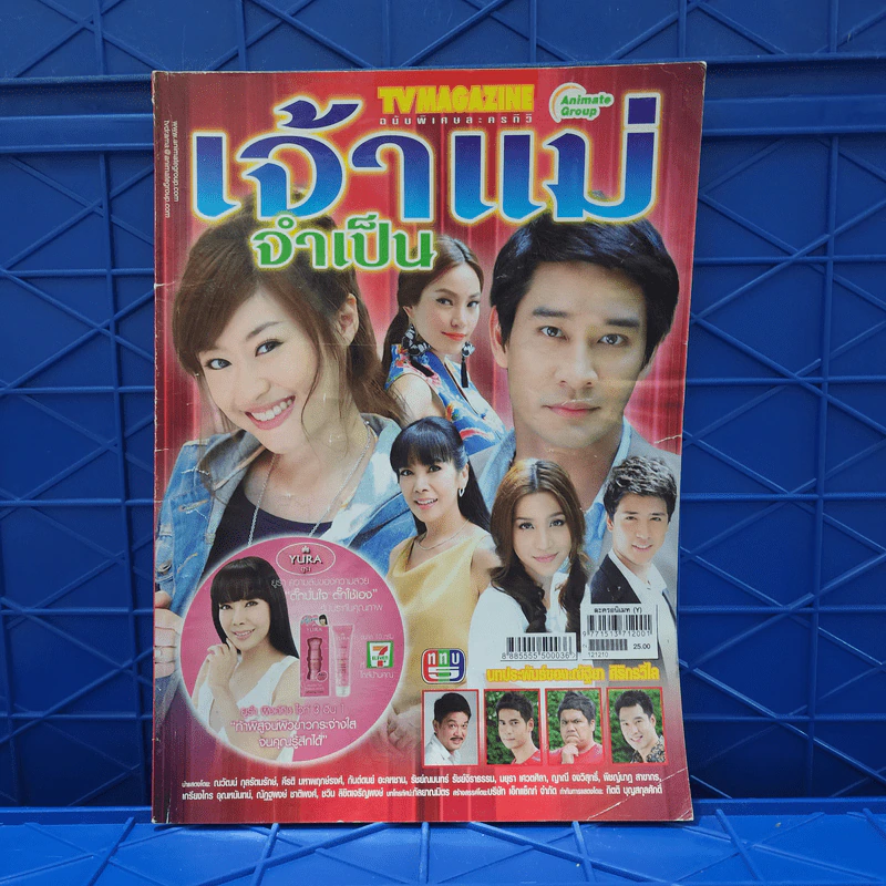 เจ้าแม่จำเป็น เรื่องย่อละคร ทีวีแม็กกาซีน รูปที่ 1