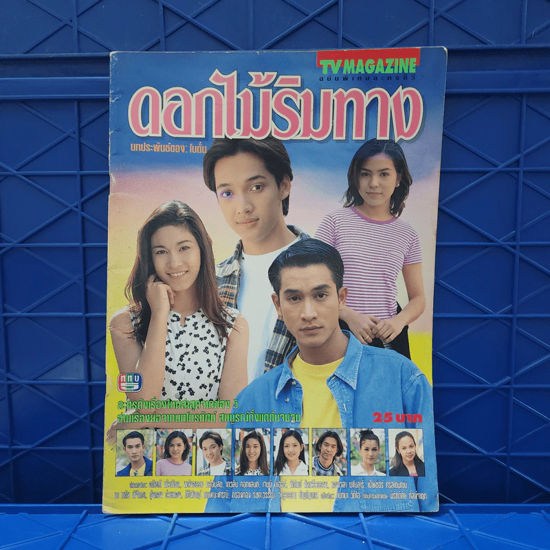 ดอกไม้ริมทาง เรื่องย่อละคร ทีวีแม็กกาซีน รูปที่ 1