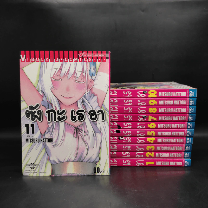 ซังกะเรอา 11 เล่มจบ รูปที่ 1