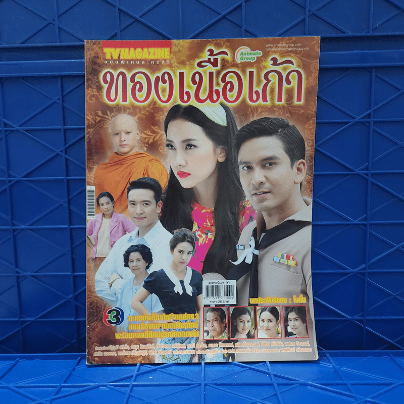 ทองเนื้อเก้า เรื่องย่อละคร ทีวีแม็กกาซีน รูปที่ 1
