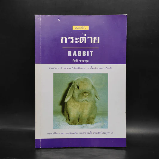 กระต่าย Rabbit - กิตติ ฉายากุล รูปที่ 1