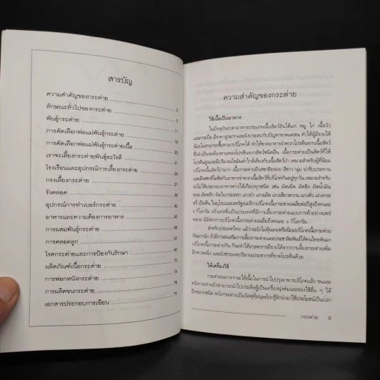 กระต่าย Rabbit - กิตติ ฉายากุล รูปที่ 7