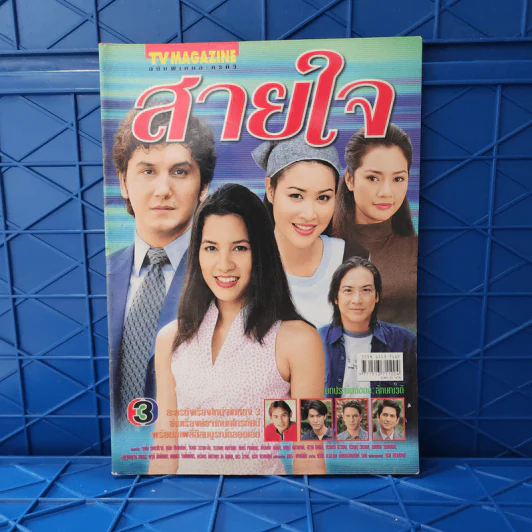สายใจ เรื่องย่อละคร ทีวีแม็กกาซีน รูปที่ 1