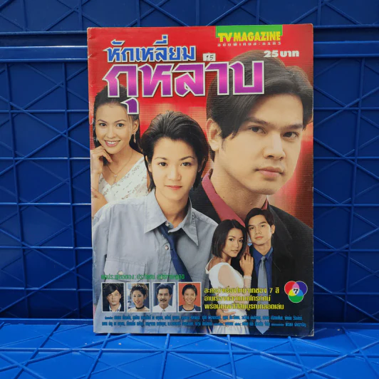 หักเหลี่ยมกุหลาบ เรื่องย่อละคร ทีวีแม็กกาซีน รูปที่ 1