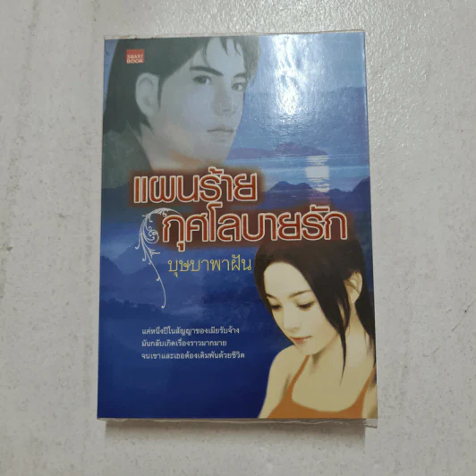 แผนร้ายกุศโลบายรัก - บุษบาพาฝัน รูปที่ 1