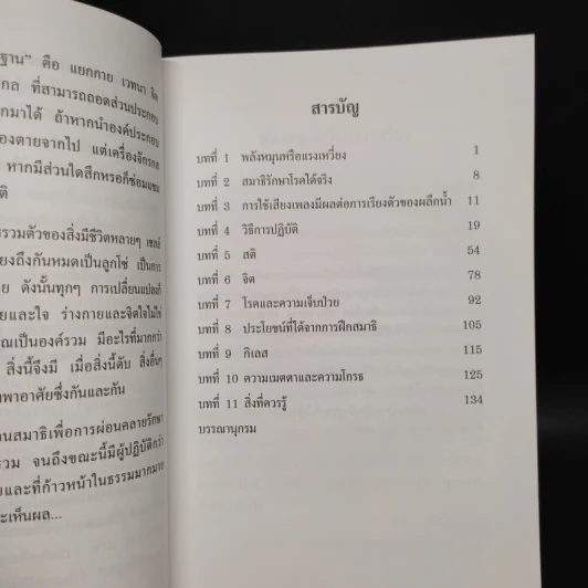 สมาธิเพื่อการผ่อนคลายรักษา สุขภาพกายและจิต - องค์รวม รูปที่ 6