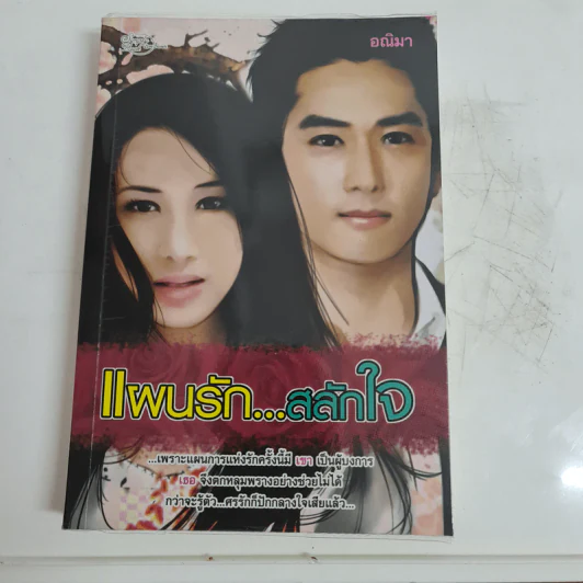 แผนรัก...สลักใจ - อณิมา รูปที่ 1