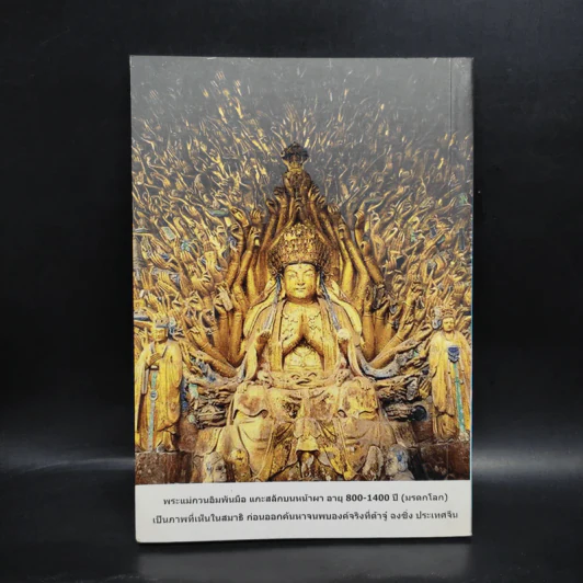 พระกษิติครรภ์โพธิสัตว์พาเที่ยวเมืองนรก ชีวิต-ความรักผูกพันบารมี พระโพธิสัตว์กวนอิม รูปที่ 2