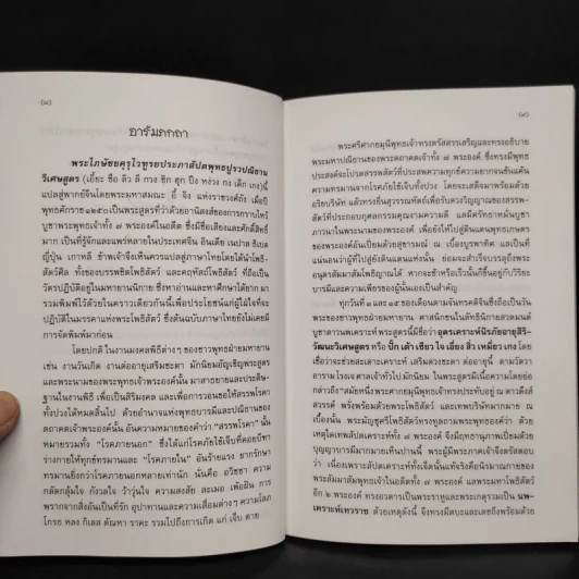 พระไภษัชยคุรุไวฑูรยประภาสัปตพุทธปูรวปณิธานวิเศษสูตร - วิศวภัทร มณีปัทมเกตุ รูปที่ 6