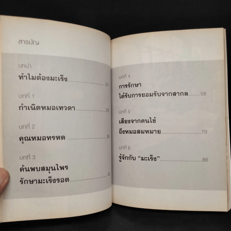 หมอเทวดา ผู้รักษามะเร็งรอด - สมหมาย ทองประเสริฐ รูปที่ 6