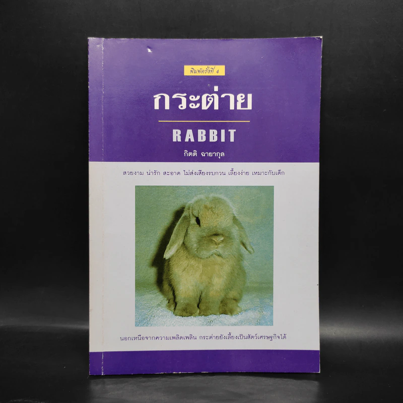 กระต่าย Rabbit - กิตติ ฉายากุล รูปที่ 1
