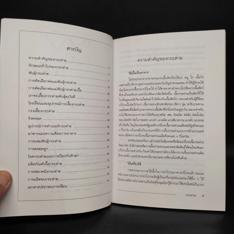 กระต่าย Rabbit - กิตติ ฉายากุล รูปที่ 7