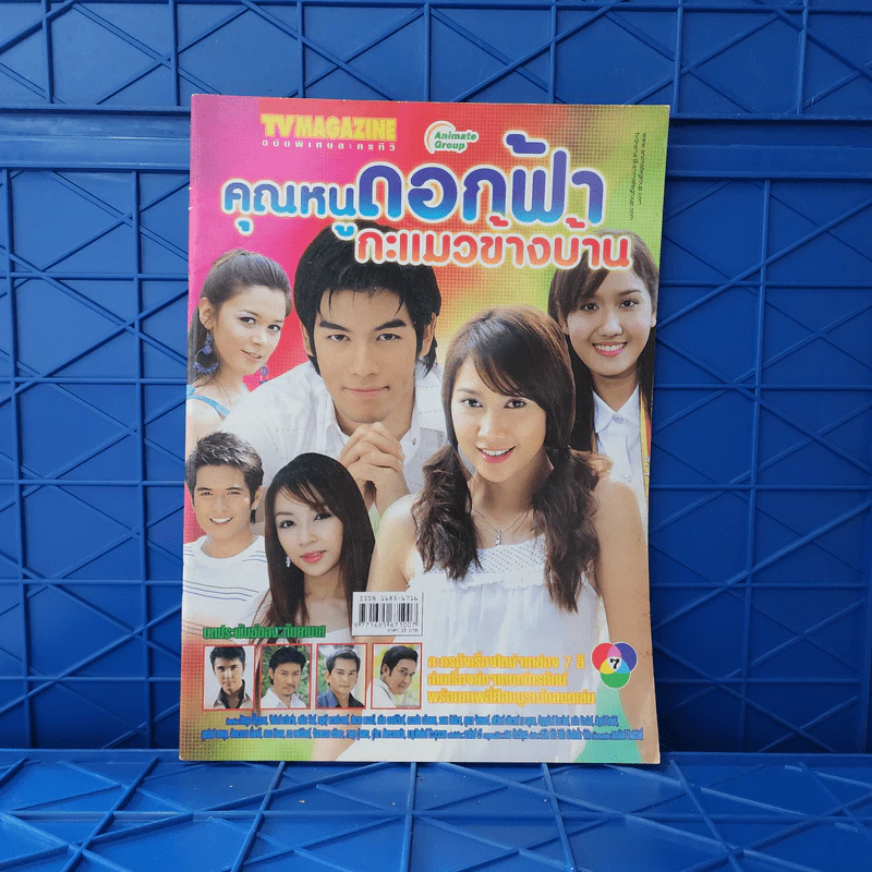 คุณหนูดอกฟ้ากะแมวข้างบ้าน เรื่องย่อละคร ทีวีแม็กกาซีน รูปที่ 1