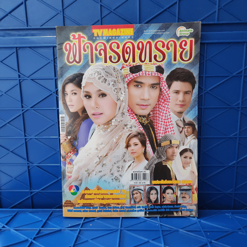 ฟ้าจรดทราย เรื่องย่อละคร ทีวีแม็กกาซีน รูปที่ 1