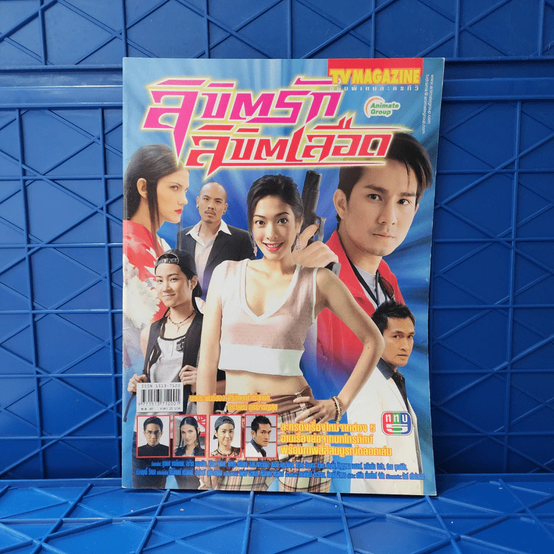ลิขิตรัก ลิขิตเลือด เรื่องย่อละคร ทีวีแม็กกาซีน รูปที่ 1