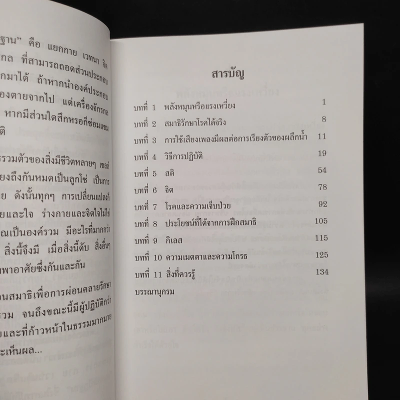 สมาธิเพื่อการผ่อนคลายรักษา สุขภาพกายและจิต - องค์รวม รูปที่ 6
