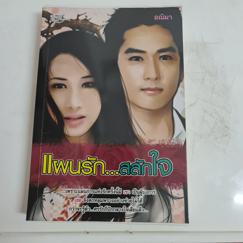 แผนรัก...สลักใจ - อณิมา รูปที่ 1