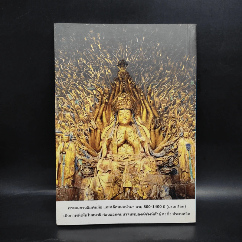 พระกษิติครรภ์โพธิสัตว์พาเที่ยวเมืองนรก ชีวิต-ความรักผูกพันบารมี พระโพธิสัตว์กวนอิม รูปที่ 2