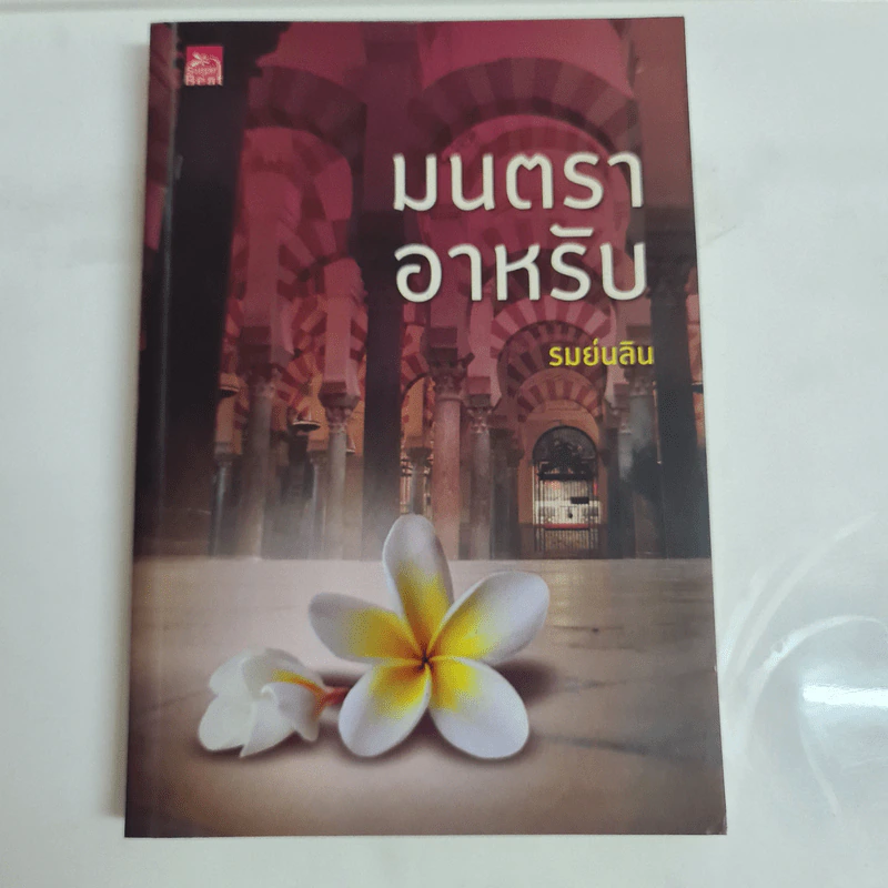 มนตราอาหรับ - รมย์นลิน รูปที่ 1