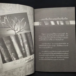 The Top Secret เดอะท็อปซีเคร็ต - ทันตแพทย์สม สุจีรา รูปที่ 7