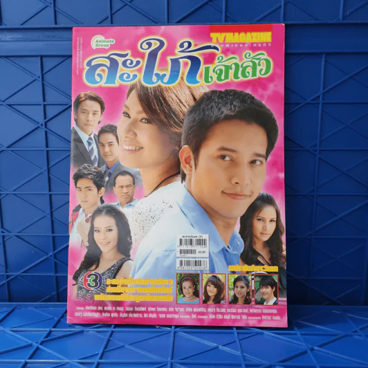 สะใภ้เจ้าสัว เรื่องย่อละคร ทีวีแม็กกาซีน รูปที่ 1