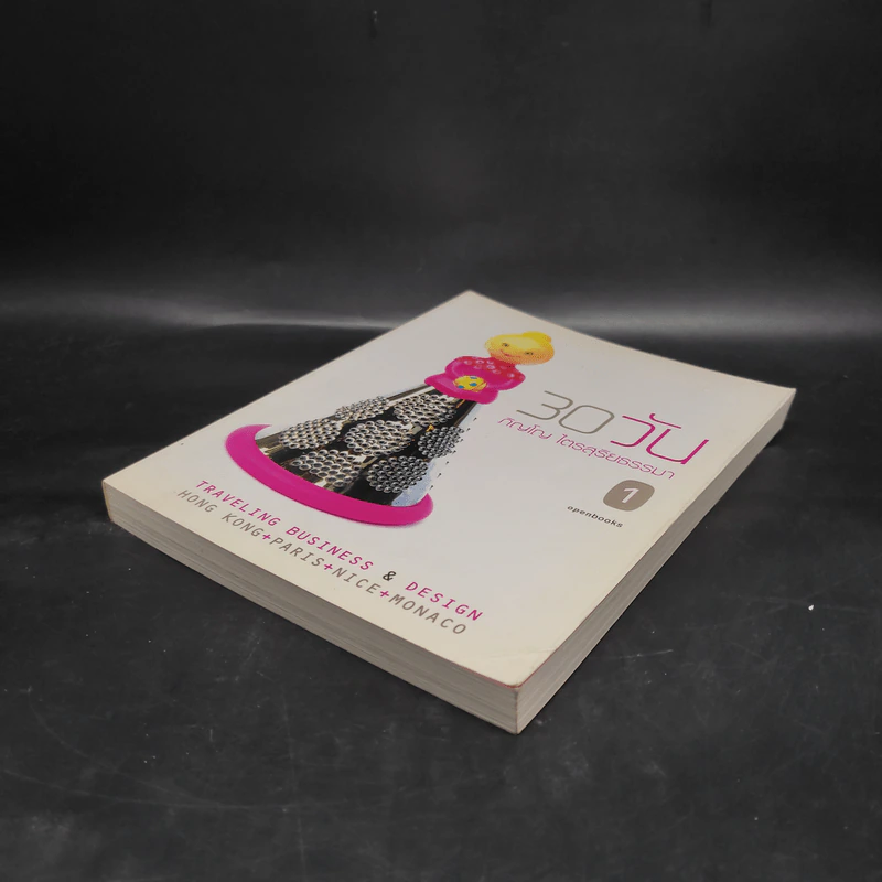 30 วัน - ภิญโญ ไตรสุริยธรรมา รูปที่ 4