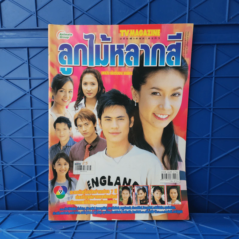 ลูกไม้หลากสี เรื่องย่อละคร ทีวีแม็กกาซีน รูปที่ 1