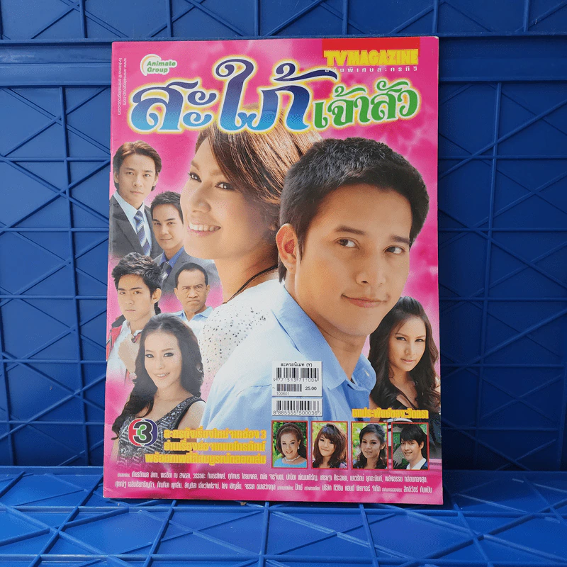 สะใภ้เจ้าสัว เรื่องย่อละคร ทีวีแม็กกาซีน รูปที่ 1