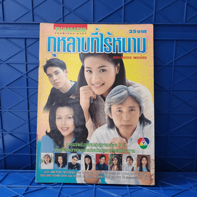 กุหลาบที่ไร้หนาม เรื่องย่อละคร ทีวีแม็กกาซีน รูปที่ 1