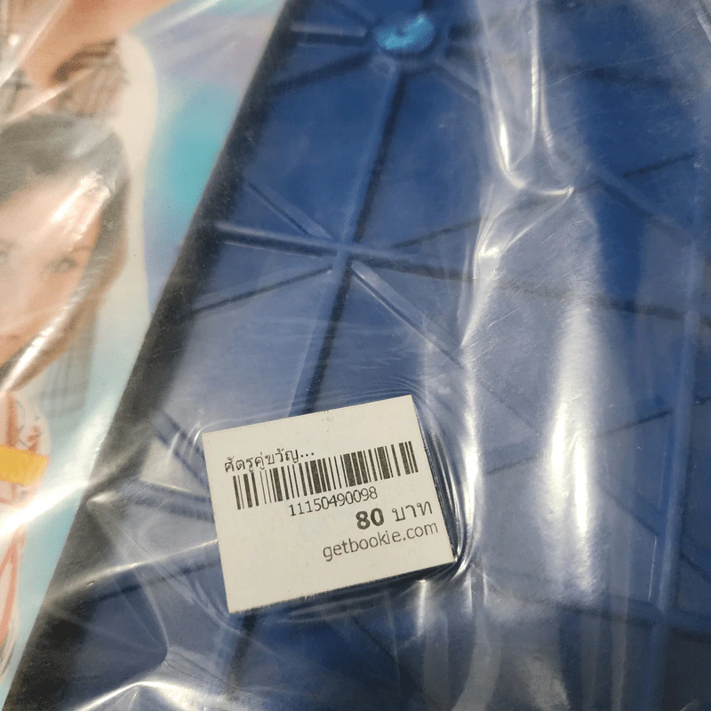 ศัตรูคู่ขวัญ เรื่องย่อละคร ทีวีแม็กกาซีน รูปที่ 2