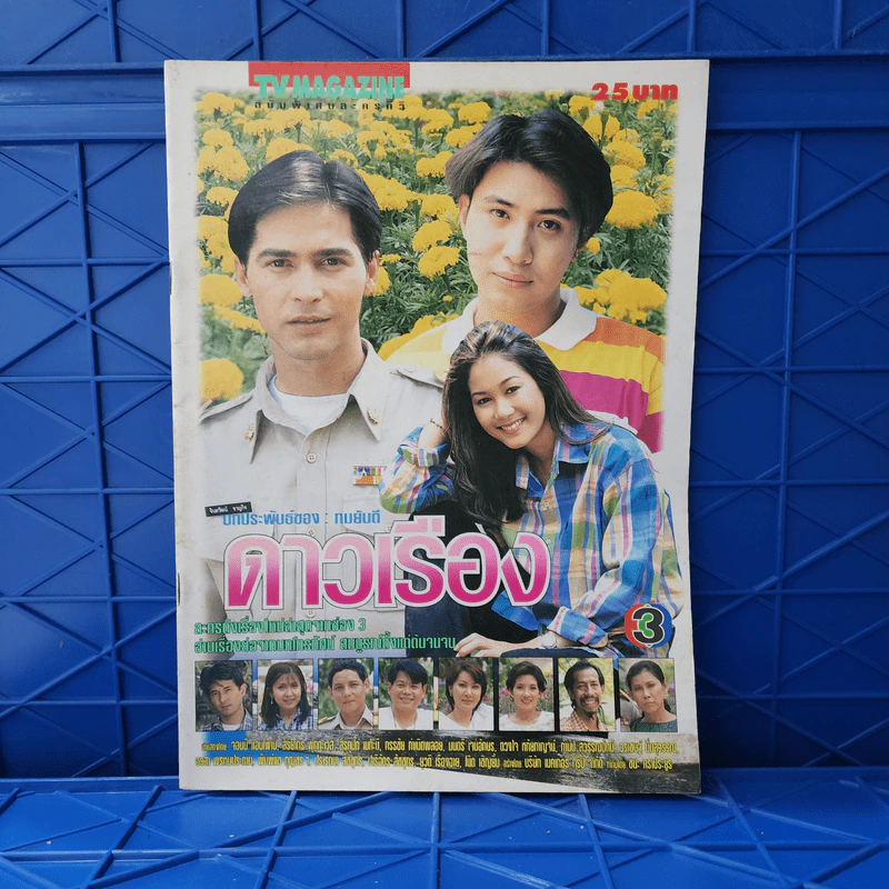 ดาวเรือง เรื่องย่อละคร ทีวีแม็กกาซีน รูปที่ 1