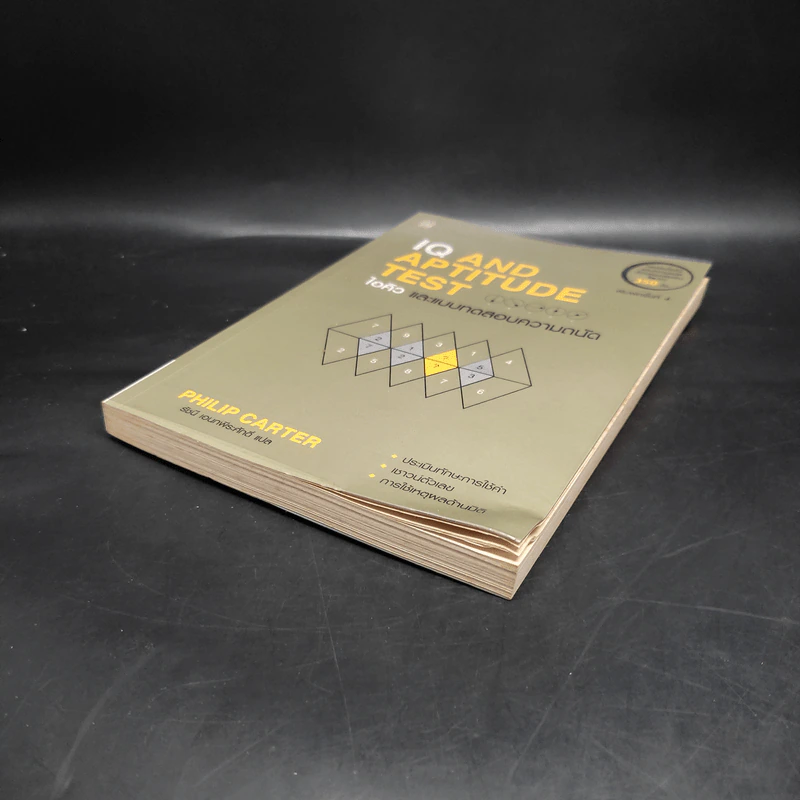 IQ And Aptitude Test ไอคิว และแบบทดสอบความถนัด - Philip Carter รูปที่ 4