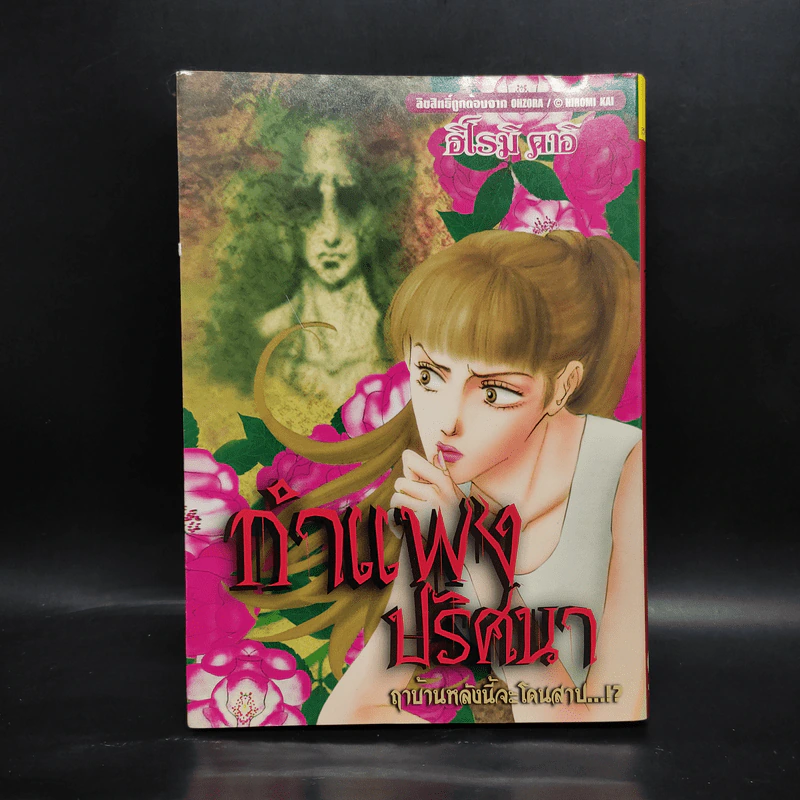 กำแพงปริศนา - ฮิโรมิ คาอิ รูปที่ 1