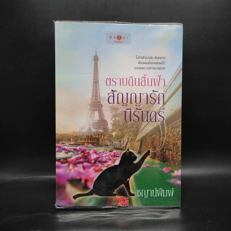 ตราบดินสิ้นฟ้า สัญญารักนิรันดร์ - ชญาน์พิมพ์ รูปที่ 1
